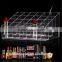Clear Acrylic 24 Trapezoid Holder Display Stand Cosmetic Organizer Makeup Case