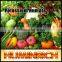 Huminrich 100% Water Soluble Shiny Flake Fertilizer Agriculture Products From Egypt