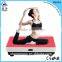 Manual Slim Body Shaker Vibration Machine Crazy Fit Massager