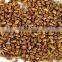 CASSIA TORA SEED BOLD QUALITY FROM INDIA