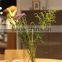 European fashionable types of table tall clear glass vase for home decoration