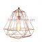 Creative Pendant Lamp, Metal Wire Ceiling Lamp, Hanging Lamp,chandelier