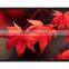 Fixed frame Projection Screen PVC Metal screen Glass fiber grey/whilte sceen