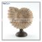 decorative polyresin craft antique sea shell design with wooden imitation base