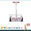 Best Price 2 Wheel Self Balance Scooter Hot in Europe