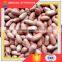 Small MOQ Roasted Peanuts Price
