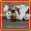 Brown Glass Chemical Bottles for Penicillin Bottle With Rubber Stopper for Pill Bottle With Flip Top Cap