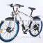 Factory 250W brushless best mountain e bike 7 gears with 26" tire
