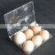 wholesale disposable plastic egg carton