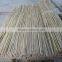 No branches green bamboo cane and bamboo poles