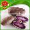 Sweet purple potato