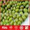 Round green mung bean from China