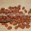 High Quality Wholesale Roasted Peanuts Flavored Coated Peanuts