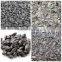 Direct Factory Supply Bulk Organic Sunflower Seeds