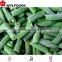 price for frozen green bean 2015 hot sales