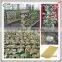 hydroponic rock wool | Rockwool cubes | 60kg/m3 rock wool