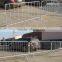 Pedestrian Crowd Control Barricade/barrier/panel