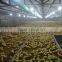automatic plastic durable Made in China cheap broiler feeding system
