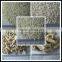 Blue treasure fish tank aquarium filter coral sand