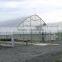 RoughBrothers Coldframe Series Galvanized Steel Frame Vegetable Tunnel Plastic Greenhouse