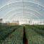 Economical small size single span greenhouse for agriculture