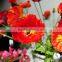 hot sell china manufacturer high quality long single stem poppy for decoration