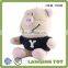 Manufacture Pink And Beige Plush Pig Stuffed Animal Keychain