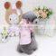 Gold thread embroidered coat dog clothes with plush hat