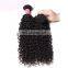 Brazilian remy human hair kinky curly weave