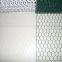 PVC coated Hexagonal wire mesh