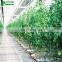 Agricultural Greenhouse/Garden Greenhouse Hydroponic Channels Set Hydroponic Growing Systems
