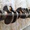 ShangHai Engine D6114  diesel engine crankshaft S00003796+01