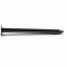 Low Price common nails