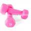 Chinese Wholesale Women Use Colour Dumbbells Neoprene Pair Gym Equipment Dumbbell Set