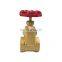dn15 gas brass gate valve