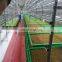 OrangeMech Container type good cost green barley grass automatic hydroponic fodder machine/hydroponic fodder system