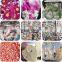 Programmable food Vacuum Freeze Dryer Lyophilizer Machine