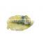c4.2 engine injector c6.6 common rail engine injector 320-0690 320-0680 3200670 3213600 3264740