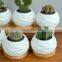 Best Selling Unique Indoor Circle European Mini Home Garden Decor Artificial Flower Decorations Pots Pineapple Shape Planter