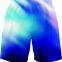 ?Custom 2022 Fashion Men's Short with Sublimation.