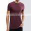 High Quality Athletic Sports Wear T Shirt Men's Workout Gym Workout Compression