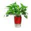 2022 Small Garden Indoor Nursery Black Transparent Rose Artificial Mini Plastic Holder Plant Pots Flower