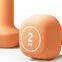 Trapezoidal Plastic-dipped Dumbbell