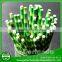 Bamboo Design Wholesale Disposable Drink Striped Paper Straws Supplier's Choice