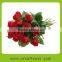 New Cut Fresh Cut Flower Rose for Home Decoration