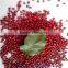 new crop azuki beans(heilongjiang)