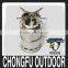 2016 hot sale mini portable stainless steel wood stove for outdoor camping equipment wholesale supplier in China 