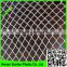 woven fabric PE guard hail mesh plastic fruit tree netting