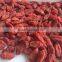 Health Goji Berries