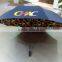 beauty printing windproof double layer umbrella